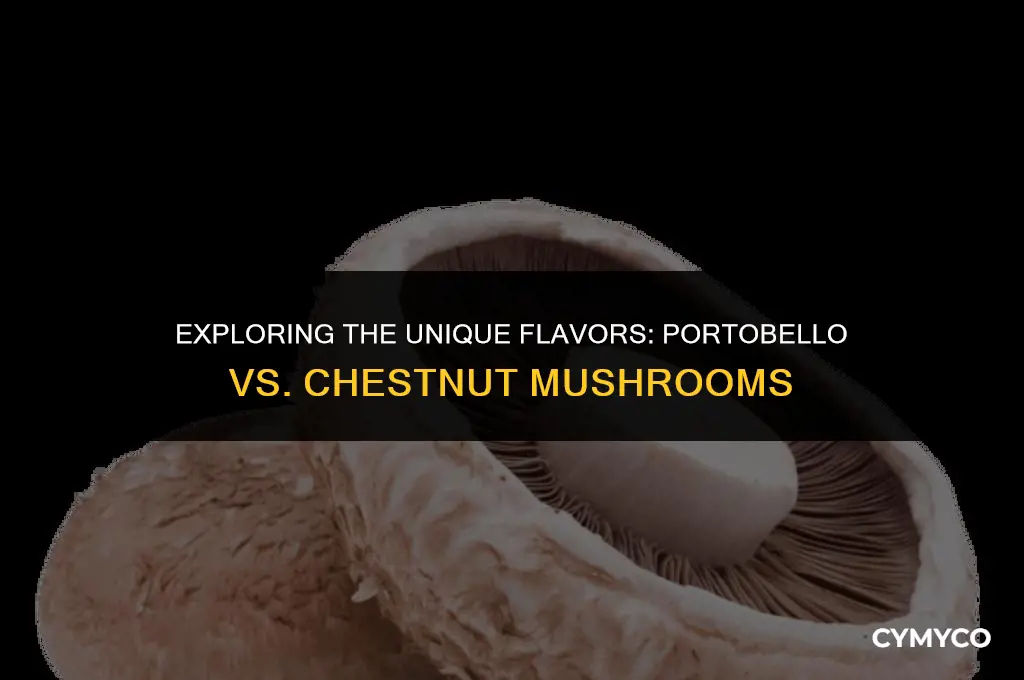 what the difference between portobello and chestnut mushrooms