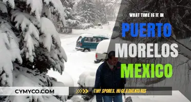 Discover Puerto Morelos, Mexico's Local Time and Best Visiting Hours