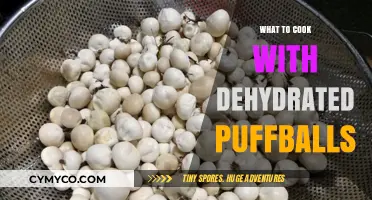 Reviving Flavor: Creative Recipes Using Dehydrated Puffballs
