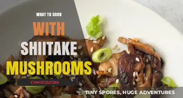 Delicious Shiitake Mushroom Recipes: Creative Cooking Ideas to Try Tonight