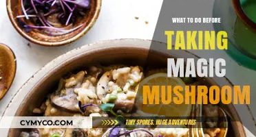 Prepare Mindfully: Essential Steps Before Your Magic Mushroom Experience