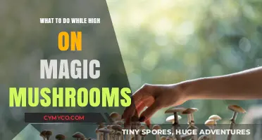 Exploring the Psychedelic Experience: Activities to Enhance Your Magic Mushroom Journey