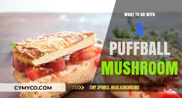 Exploring the Culinary Potential of Puffball Mushrooms: A Guide