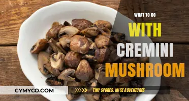 Exploring Culinary Delights: A Guide to Using Cremini Mushrooms