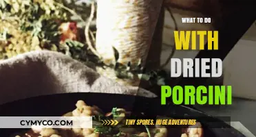 Reviving Umami: Creative Ways to Use Dried Porcini Mushrooms
