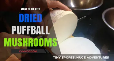 Reviving Flavor: Creative Uses for Dried Puffball Mushrooms