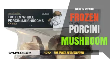 Reviving Frozen Porcini: A Guide to Delicious Mushroom Creations