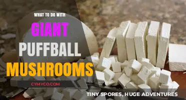 Exploring Culinary Uses for Giant Puffball Mushrooms: A Comprehensive Guide
