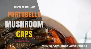 Delicious Ideas: Large Portobello Mushroom Caps Recipes