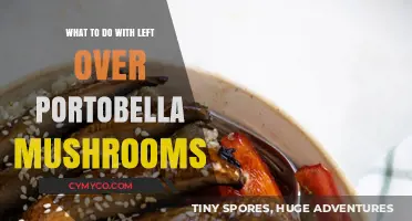 Creative Ways to Use Leftover Portobello Mushrooms in Your Next Meal