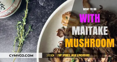 Exploring Maitake Mushrooms: Delicious Recipes and Health Benefits