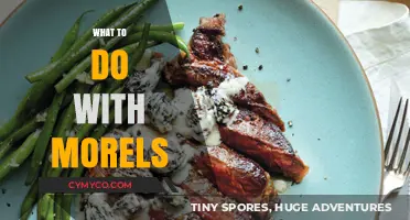 Savoring Spring's Bounty: Creative Ways to Enjoy Morel Mushrooms