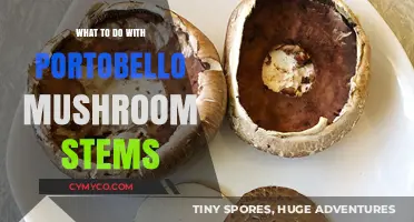 Delicious Ways to Use Portobello Mushroom Stems in Your Cooking