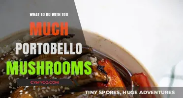 Mushroom Bonanza: Creative Ways to Use Excess Portobellos