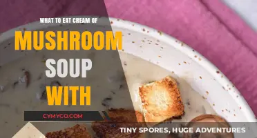 Delicious Pairings: What to Eat with Cream of Mushroom Soup