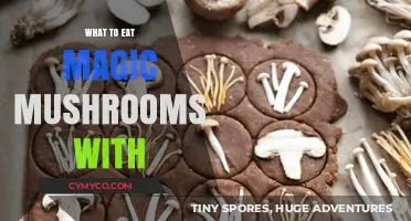 Enhance Your Trip: Best Foods to Pair with Magic Mushrooms