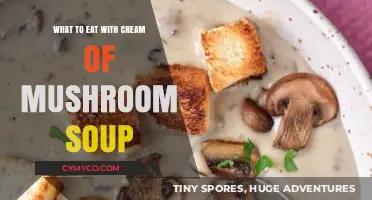 Delicious Pairings: What to Eat with Cream of Mushroom Soup