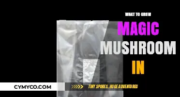 Best Substrates for Growing Magic Mushrooms: A Comprehensive Guide