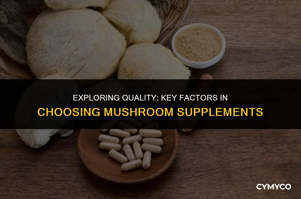 what to look for when buying a mushroom supplement