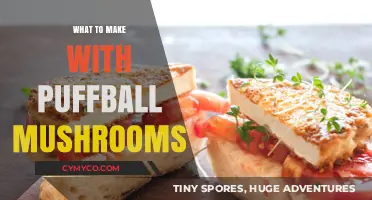 Delicious Puffball Mushroom Recipes to Try at Home