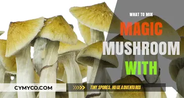 Creative Combos: What to Mix Magic Mushrooms With Safely