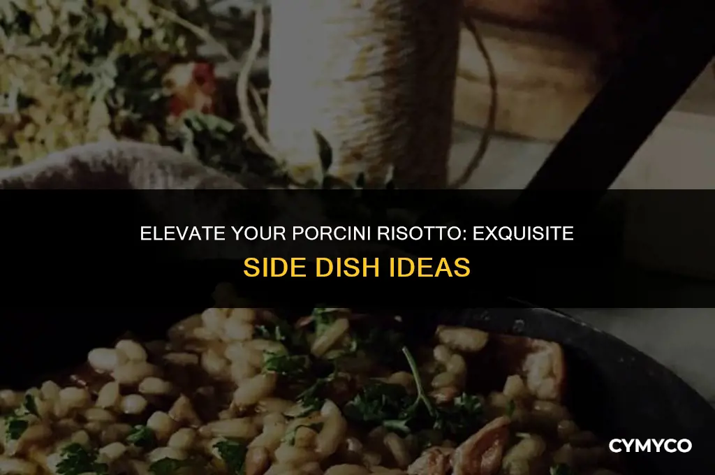 what to serve with porcini risotto