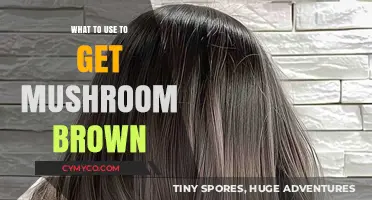 Natural Dyes for Mushroom Brown: Exploring Earthy Pigments