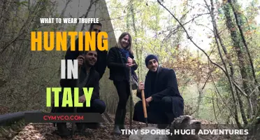 Perfect Outfits for Truffle Hunting Adventures in Italy's Countryside