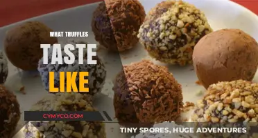 Unveiling the Decadent World of Truffles: A Taste Sensation