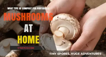 Crafting the Perfect Compost Blend for Homegrown Portobello Mushrooms