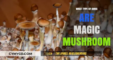 Magic Mushrooms: Understanding Their Classification and Psychedelic Effects