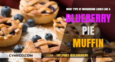 Nature's Deceptive Delights: Mushrooms That Mimic Blueberry Pie Muffins