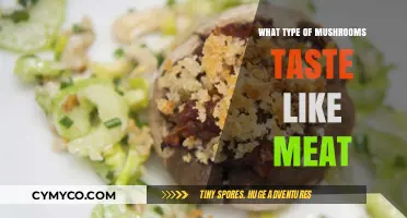 Exploring Umami: Mushrooms That Satisfy Your Meat Cravings