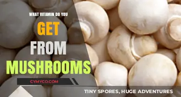 Unlocking Nature's Bounty: The Surprising Vitamin Benefits of Mushrooms