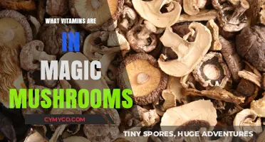 Unlocking Nature's Secrets: Vitamins and Nutrients in Magic Mushrooms