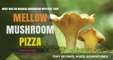 Exploring the Mystical Tour of Mellow Mushroom Pizza: A Magical Journey