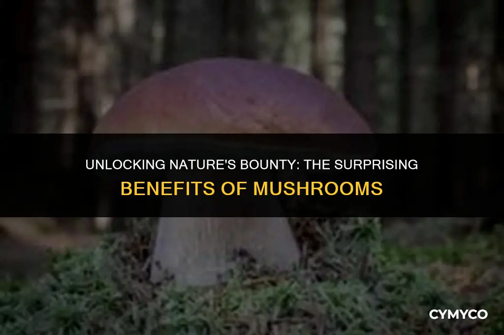 what we get from mushroom