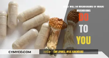 Exploring the Effects of Microdosing Magic Mushrooms: A Beginner's Guide