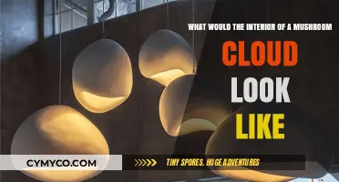 Exploring the Enigmatic Core: A Glimpse Inside a Mushroom Cloud