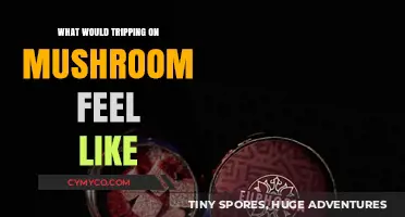 Exploring the Psychedelic: A Journey Through Mushroom-Induced Euphoria