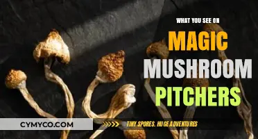 Exploring the Psychedelic Realm: A Visual Journey on Magic Mushroom Pitchers