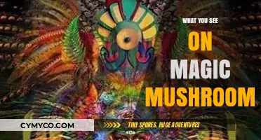 Exploring the Psychedelic Realm: A Journey Through Magic Mushroom Visions