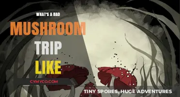 Exploring the Unpleasant Side of Psychedelic Mushrooms: A Journey