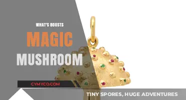 Unlocking the Secrets: What Enhances the Magic Mushroom Experience?