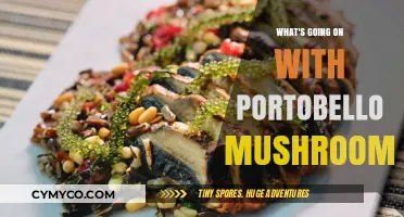 Exploring the Rise of Portobello Mushrooms: A Culinary Trend Unveiled