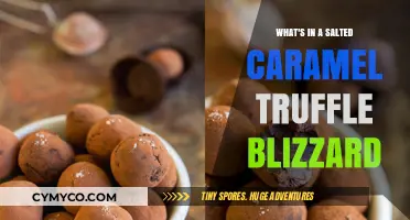 Indulgent Insights: Unveiling the Secrets of a Salted Caramel Truffle Blizzard
