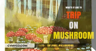 Exploring the Psychedelic Realm: A Journey Through Mushroom Trips