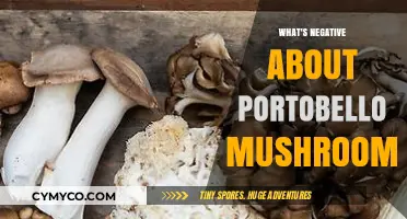 Unveiling the Lesser-Known Downsides of Portobello Mushrooms