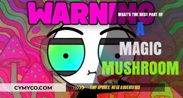 Exploring the Enchanting Effects: The Best Part of a Magic Mushroom