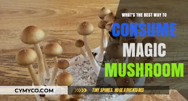 Exploring the Optimal Methods for Consuming Magic Mushrooms